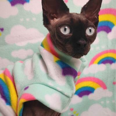 Neon rainbows - fleece