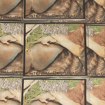 Internal degradation – fulminate (cd-r)