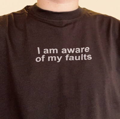 Free Shipping-I AM AWARE OF MY FAULTS TEE