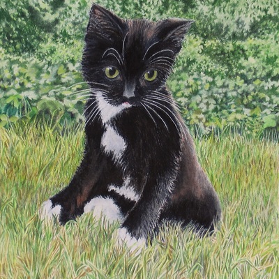 "shy kitten" artwork by n.e.thompson, art print