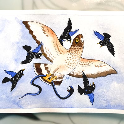 Watercolour original airborn hassle