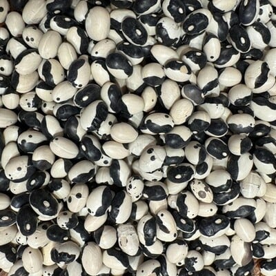 Orca yin yang black calypso bean heirloom seed packet