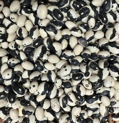 Orca Yin Yang Black Calypso Bean Heirloom Seed Packet
