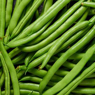 Seychelles vining french green bean haricots verts premium seed packet