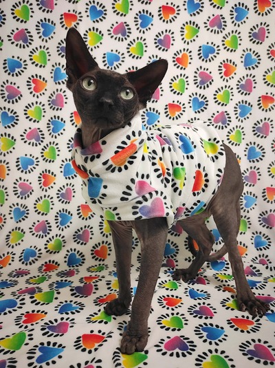 Rainbow Hearts - Lightweight Luxe Fleece