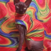 Swirling Rainbow - Sleepwear - Thumbnail 1