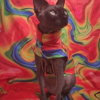 Swirling Rainbow - Sleepwear - Thumbnail 2