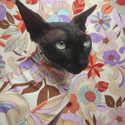 Spring in retro - sleepwear