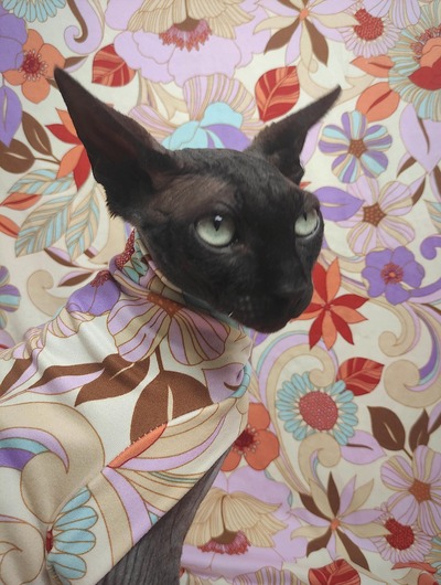 Spring In Retro - Sleepwear