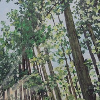 "Sasquatch Country" Original acrylic painting by N.E.Thompson, artwork size 11x14 inches - Thumbnail 5