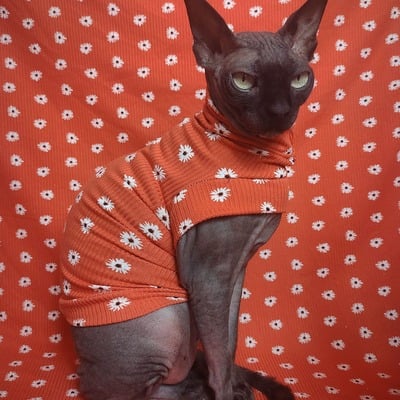 Dandelion tussie-mussie - ribbed sleepwear