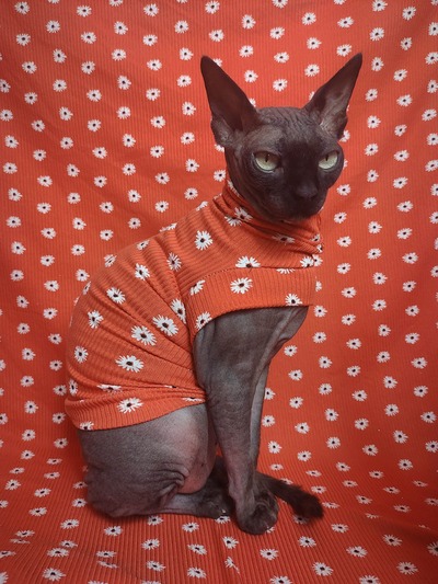 Dandelion Tussie-Mussie - Ribbed Sleepwear