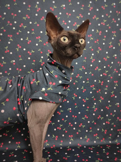 Cherry, Cherry - Sleepwear