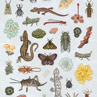 Alpine Creatures Sticker Sheet - Thumbnail 1