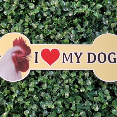 I love my dog (birds) bumper sticker