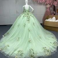 Sage Green Quinceanera Dress Strapless v neck Appliques Sweet 16 Dress - Thumbnail 1