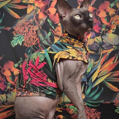 Tahitian nights - sleepwear