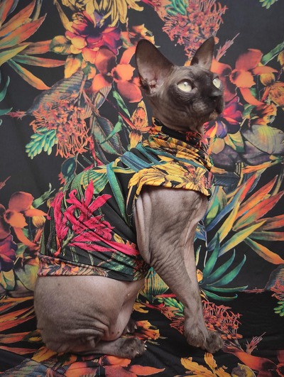 Tahitian Nights - Sleepwear