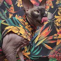 Tahitian Nights - Sleepwear - Thumbnail 2