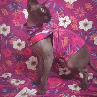 Tahitian Days - Sleepwear - Thumbnail 1