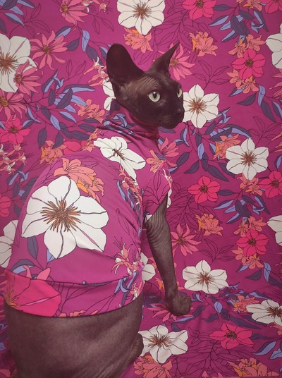 Tahitian Days - Sleepwear