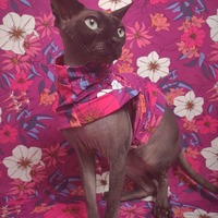 Tahitian Days - Sleepwear - Thumbnail 4