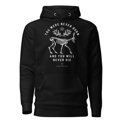 You Were Never Born and You Will Never Die – Spiritual Statement Unisex Hoodie