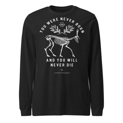 You were never born and you will never die – unisex long sleeve spiritual shirt