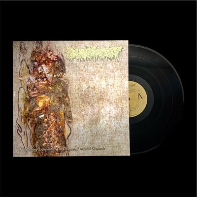  pharmacist ‎– flourishing extremities on unspoiled mental grounds (12")