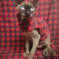 Red Catstooth - Sleepwear - Thumbnail 2