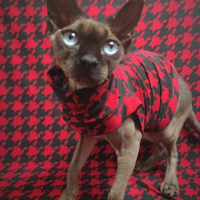 Red catstooth - sleepwear