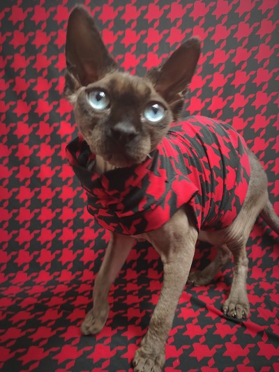 Red Catstooth - Sleepwear