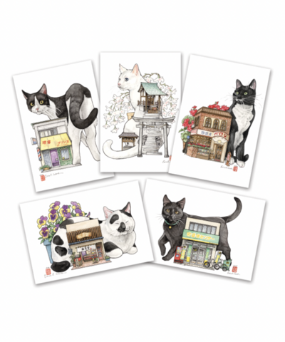"Black and White Cats" 5-Postcard Set 