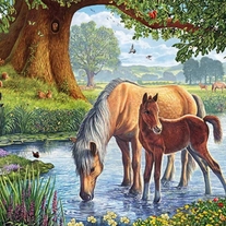 2 Horses in Stream Cross Stitching Kit (30x40cm 14CT Printed canvas)
