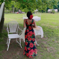 Fashion Sexy Printed Tulle Dress - Thumbnail 1