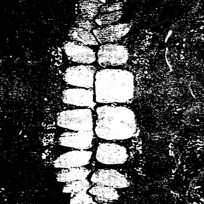 The vomit arsonist 'everything has died and i have given up' c-20 - Thumbnail 1