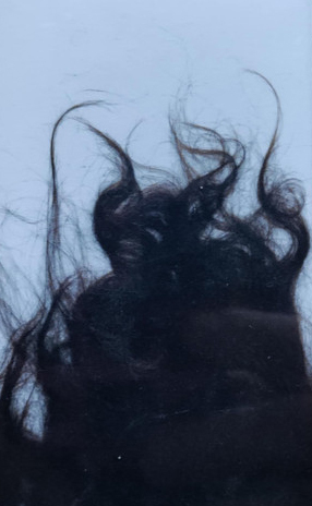 Jay Howard 'Dissimulation' C-20