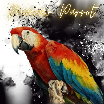 Macaw Parrot 24 X 24 Art Print