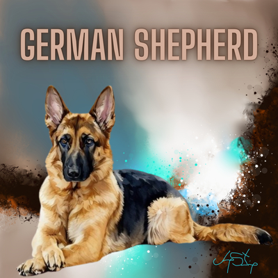 German shepherd 24 x 24 art print