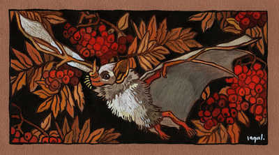 Honduran White Bat print