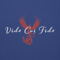 Unisex Premium Sweatshirt- Be careful who you trust - Thumbnail 35