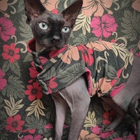 Hibiscus - Thumbnail 2