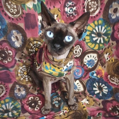 Mandalas - sleepwear