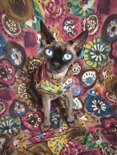 Mandalas - Sleepwear