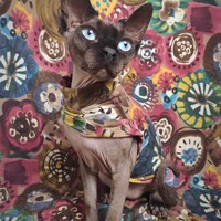 Mandalas - Sleepwear - Thumbnail 2