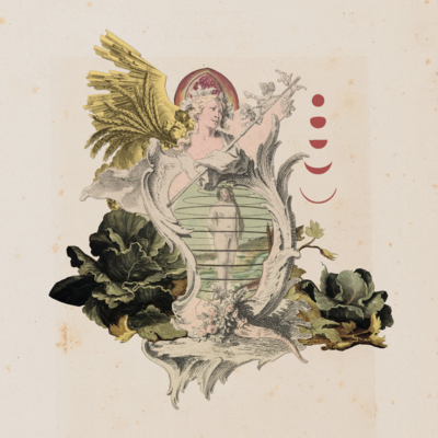 Zodiac print - virgo