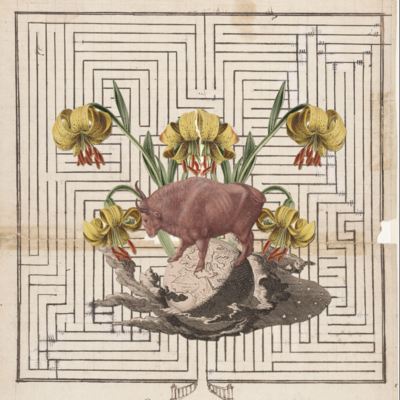 Zodiac print - taurus