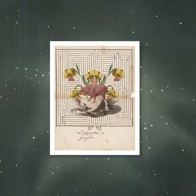 Zodiac print - taurus