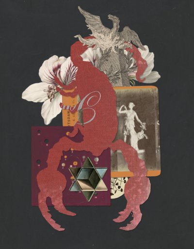 Zodiac Print - Scorpio