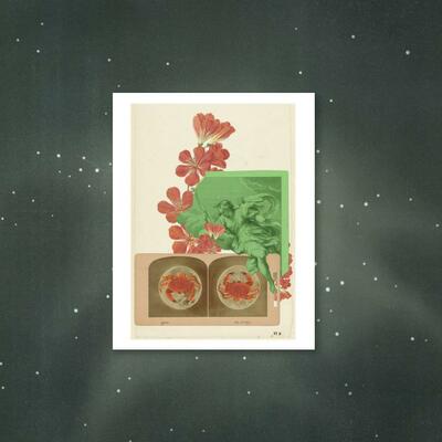 Zodiac print - cancer